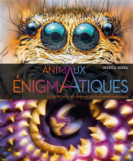 Animaux énigmatiques : la vie secrète des animaux les plus impressionnants de Jessica Serra