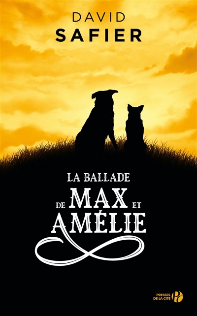 La ballade de Max et Amélie de David Safier