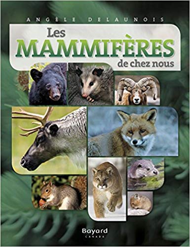 Les mammifères de chez nous de Angèle Delaunois