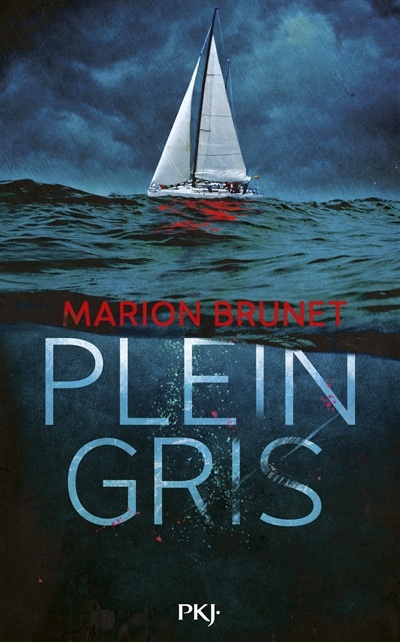 Plein gris de Marion Brunet