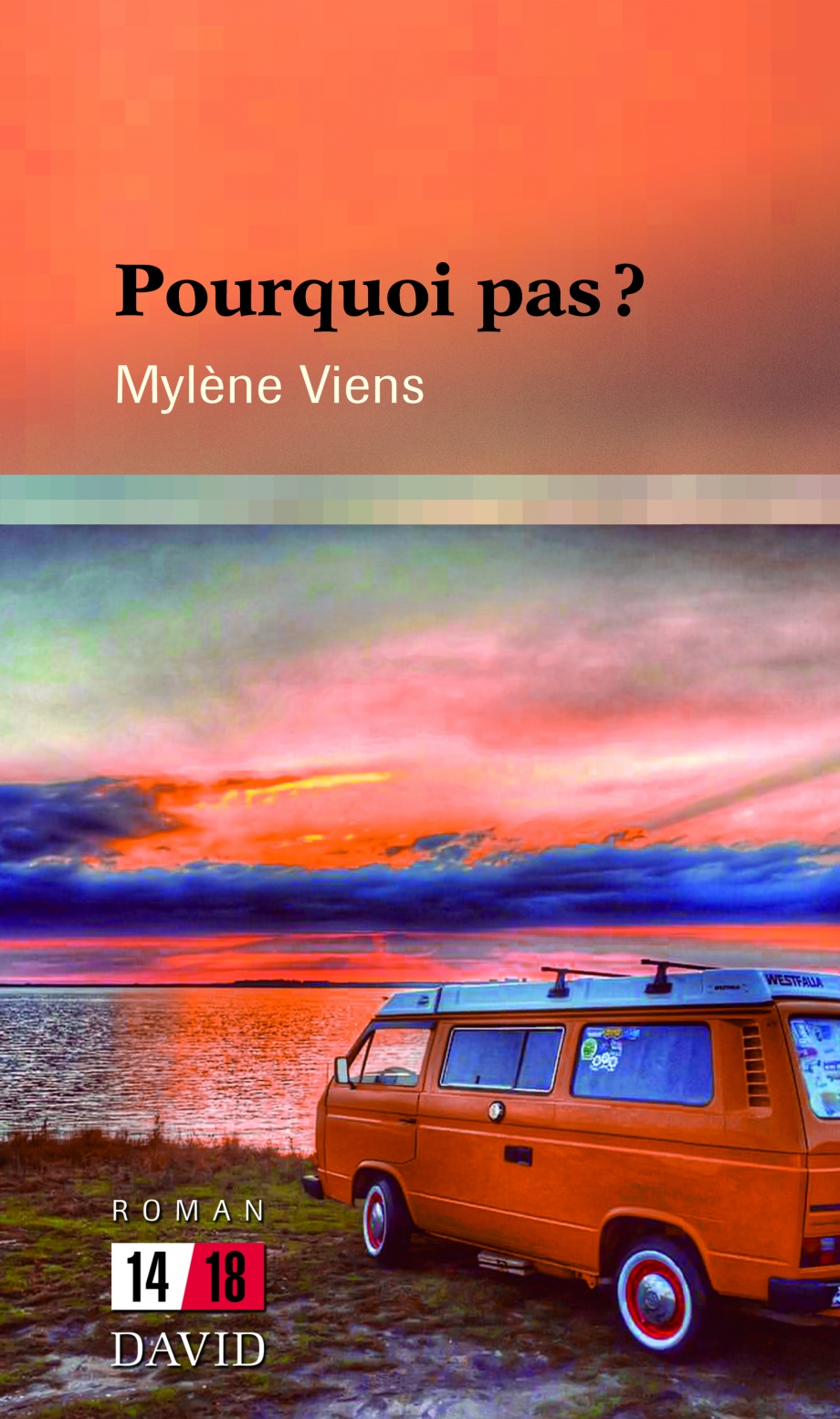 Pourquoi pas? de Mylène Viens