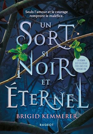 Un sort si noir et éternel T.1 de Brigid Kemmerer